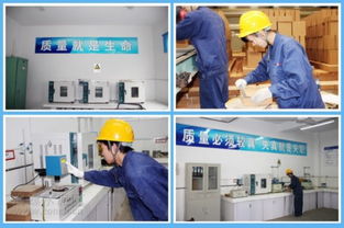 海螺耐火材料公司 服務水泥主業，打造行業精品耐火材料